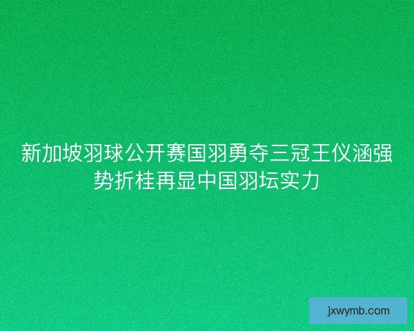 新加坡羽球公开赛国羽勇夺三冠王仪涵强势折桂再显中国羽坛实力