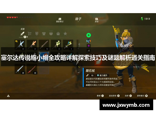 塞尔达传说缩小帽全攻略详解探索技巧及谜题解析通关指南